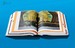 Koolhaas. Elements of Architecture [Taschen] дополнительное фото 2.
