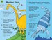 Dinosaur quiz cards дополнительное фото 2.
