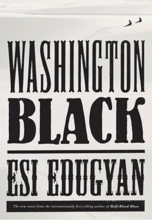 Художественные: Washington Black [Random House]