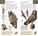 RSPB Pocket Birds of Britain and Europe дополнительное фото 3.
