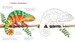 Rainforest wildlife to colour дополнительное фото 2.