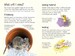 Looking after gerbils дополнительное фото 2.
