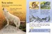 Wolves дополнительное фото 2.