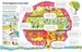 How your body works [Usborne] дополнительное фото 2.