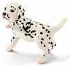 Фигурка Далматинец (щенок) 16839, Schleich