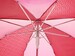 Детский зонт Pinky Queeny «Принцесса», sigikid дополнительное фото 2.