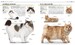 The Complete Cat Breed Book дополнительное фото 3.