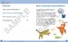 Cambridge Early Years Communication and Language for English as a Second Language 2B Learner's Book дополнительное фото 1.
