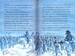 Napoleon дополнительное фото 3.