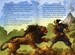 Samurai дополнительное фото 3.