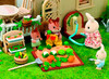 Город, Sylvanian Families