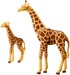 Жираф с детенышем (6640), Playmobil дополнительное фото 2.