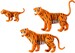 Семья тигров (6645), Playmobil дополнительное фото 2.