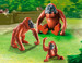 Семья орангутангов (6648), Playmobil дополнительное фото 1.
