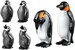 Семья пингвинов (6649), Playmobil дополнительное фото 2.