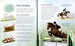 Little book of horses and ponies [Usborne] дополнительное фото 3.