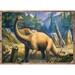 Набір пазлів 4в1 «Цікаві динозаври», 35-48-54-70 ел., Trefl дополнительное фото 4.