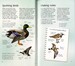Spotter's Guides: Sea and freshwater birds дополнительное фото 3.