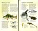 Spotter's Guides: Sea and freshwater fish дополнительное фото 3.