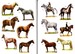 Horses and ponies sticker book дополнительное фото 3.