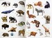 Animals sticker book - [Usborne] дополнительное фото 3.