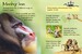 Monkeys - твёрдая обложка дополнительное фото 7.