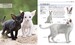 The Complete Cat Breed Book дополнительное фото 2.