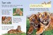 Tigers дополнительное фото 3.