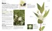 Grow Herbs - Твёрдая обложка дополнительное фото 3.