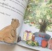 Bunny's First Christmas [Hachette] дополнительное фото 2.