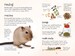 Looking after gerbils дополнительное фото 3.