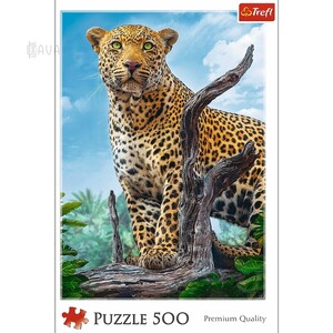 Класичні: Пазл «Дикий леопард», 500 ел., Trefl