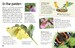 Butterflies and Moths дополнительное фото 3.