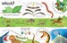 Lift-the-flap questions and answers about animals [Usborne] дополнительное фото 3.