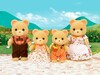 Семья Бежевых Медведей, Sylvanian Families