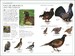 RSPB Birds of Britain and Europe дополнительное фото 3.