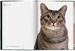 Walter Chandoha. Cats. Photographs 1942–2018 [Taschen] дополнительное фото 2.