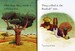 The Baobab Tree дополнительное фото 3.