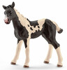 Фигурка Жеребенок породы пинто 13803, Schleich