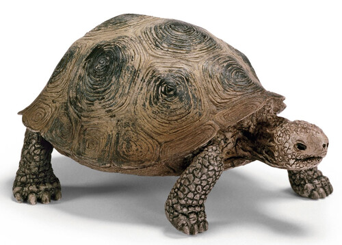 Тварини: Гігантська черепаха, іграшка-фігурка, Schleich
