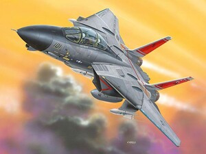 2-й рівень. Easy Kit. Літак (1972р., США) F-14 Tomcat; 1: 100; 8+ Revell