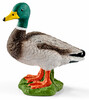 Фигурка Селезень 13824, Schleich