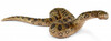 Фигурка Анаконда 14778, Schleich