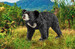 Ведмідь-губач, іграшка-фігурка, Schleich дополнительное фото 1.