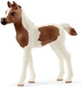 Фигурка Жеребенок породы пинтабиан 13839, Schleich