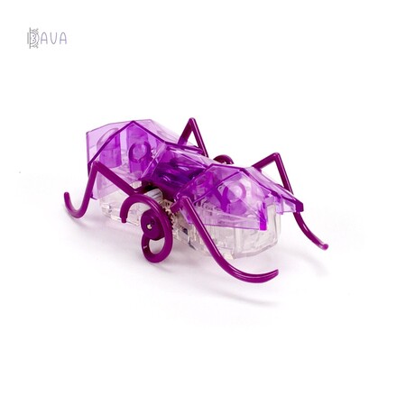 Інтерактивні тварини: Наноробот Micro Ant Мураха в асортименті, Hexbug