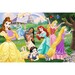 Пазл-розмальовка двосторонній «Прекрасні принцеси», Super Maxi, 24 ел., Trefl дополнительное фото 1.