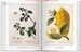 A Garden Eden. Masterpieces of Botanical Illustration. 40th edition [Taschen] дополнительное фото 4.