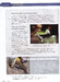 Pathways 2: Reading, Writing and Critical Thinking Text with Online WB access code дополнительное фото 1.