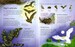 Children's picture atlas of animals дополнительное фото 4.
